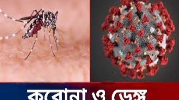করোনা ও ডেঙ্গু প্রতিরোধে শিক্ষা প্রতিষ্ঠানের করণীয় সম্পর্কে যা জানাল মাউশি