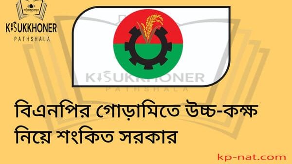 বিএনপির গোড়ামিতে উচ্চ-কক্ষ নিয়ে শংকিত সরকার
