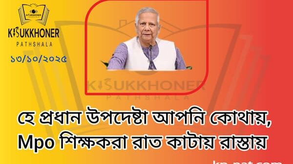 হে প্রধান উপদেষ্টা আপনি কোথায়, এমপিওভুক্ত শিক্ষকরা রাত কাটায় রাস্তায়