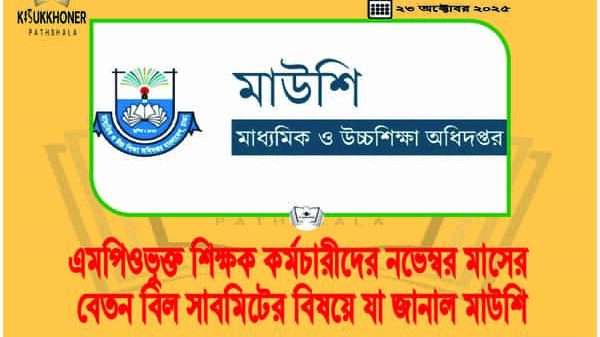 এমপিওভুক্ত শিক্ষক কর্মচারীদের নভেম্বর মাসের বেতন বিল সাবমিটের বিষয়ে যা জানাল মাউশি