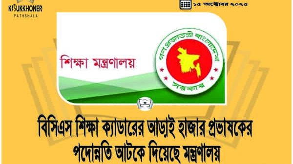 বিসিএস শিক্ষা ক্যাডারের আড়াই হাজার প্রভাষকের পদোন্নতি আটকে দিয়েছে মন্ত্রণালয়