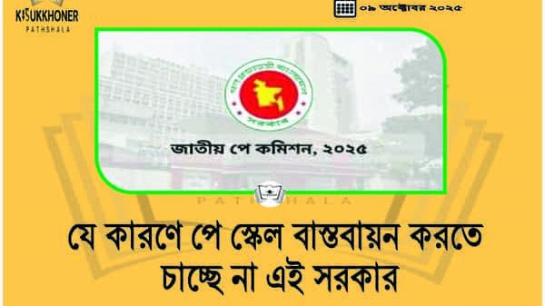 যে কারণে পে স্কেল বাস্তবায়ন করতে চাচ্ছে না এই সরকার