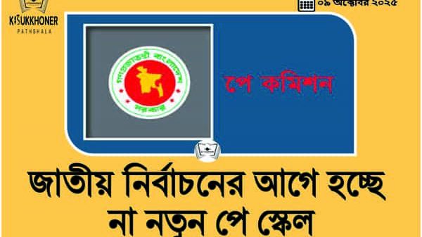 জাতীয় নির্বাচনের আগে হচ্ছে না নতুন পে স্কেল