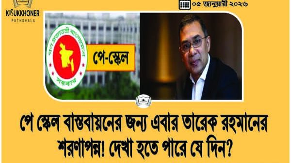 পে স্কেল বাস্তবায়নের জন্য এবার তারেক রহমানের শরণাপন্ন! দেখা হতে পারে যে দিন?