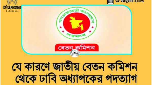 যে কারণে জাতীয় বেতন কমিশন থেকে ঢাবি অধ্যাপকের পদত্যাগ