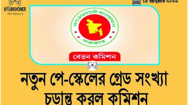 নতুন পে-স্কেলের গ্রেড সংখ্যা চূড়ান্ত করল কমিশন