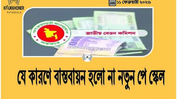 যে কারণে বাস্তবায়ন হলো না নতুন পে স্কেল